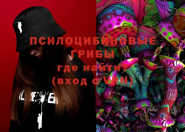 крисы Балахна
